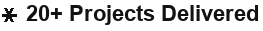 20+ Projects Delivered